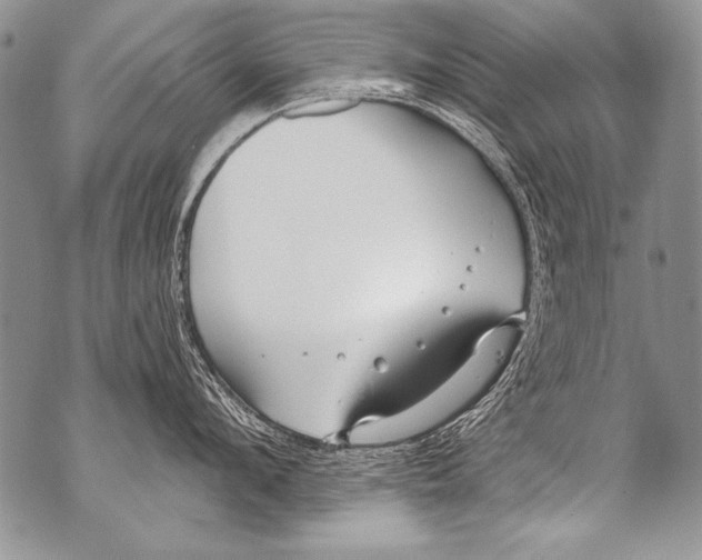 X0000070880912200607150143