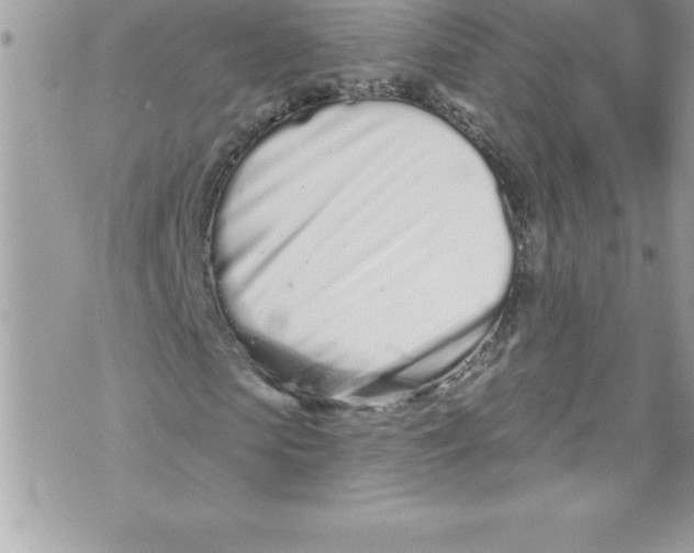 X0000070880913200607150142