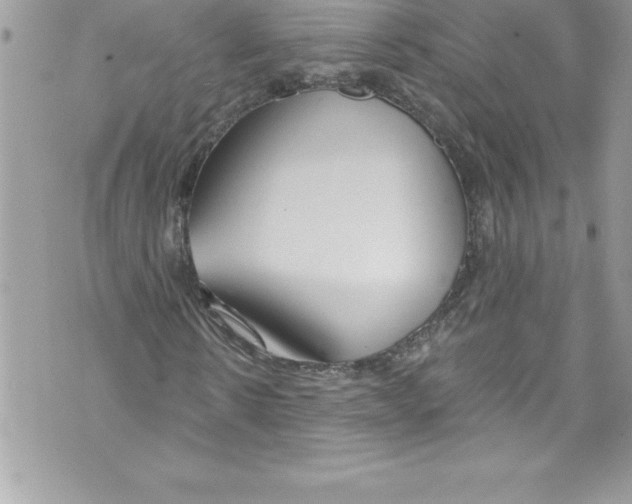 X0000070880914200607150142