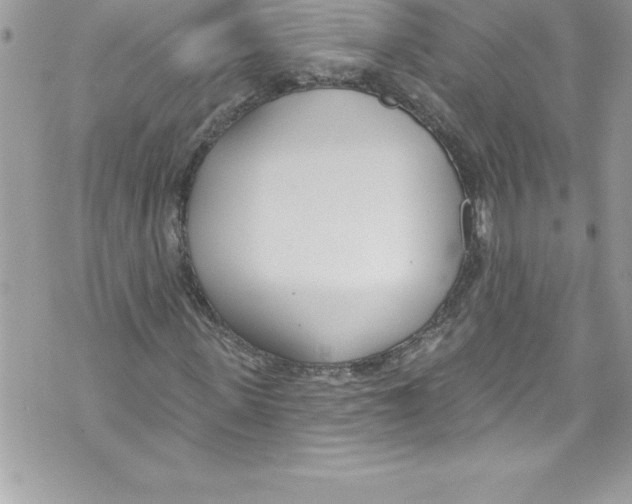 X0000070880915200607150142