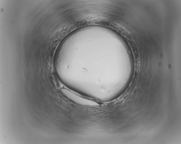 X0000070880917200607150142