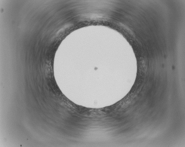 X0000070880918200607150142