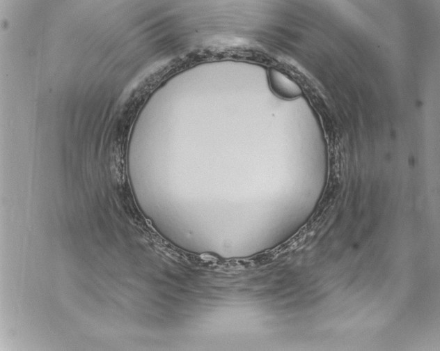 X0000070880919200607150142