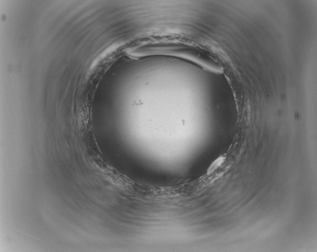 X0000070880920200607150142