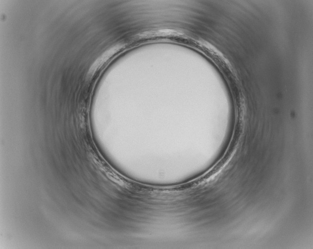 X0000070880921200607150142