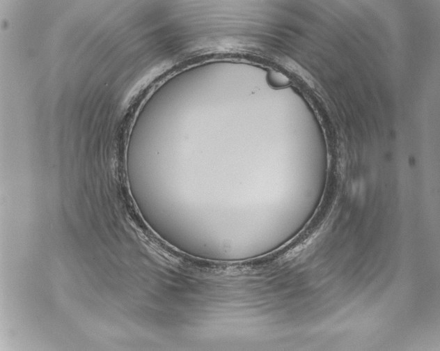 X0000070880922200607150142