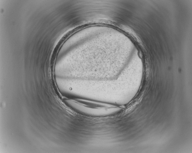 X0000070880924200607150142