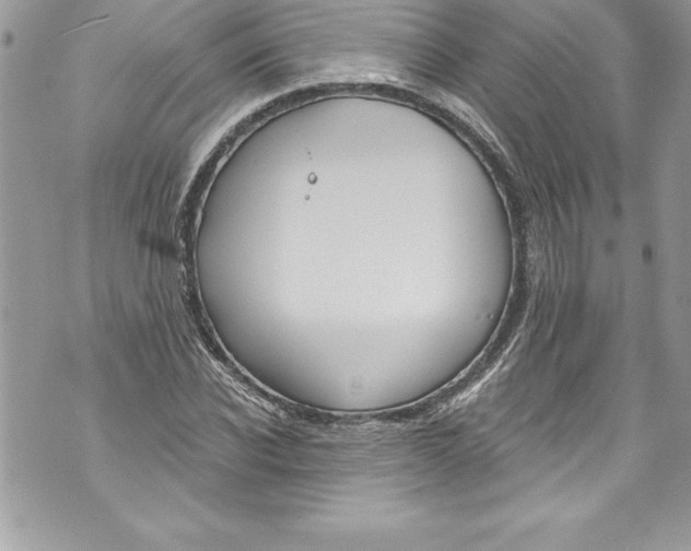 X0000070880926200607150142