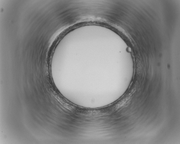 X0000070880927200607150142