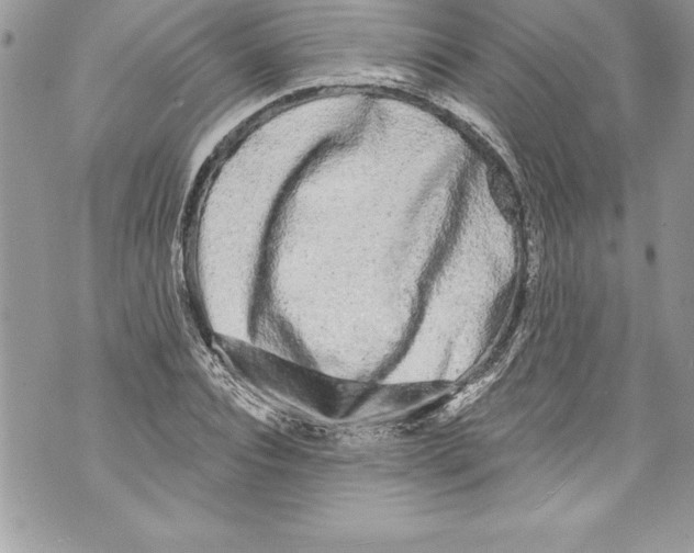 X0000070880928200607150142