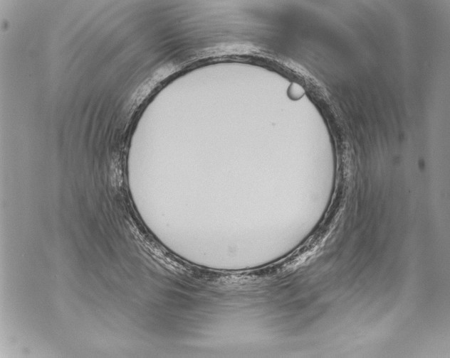 X0000070880929200607150142