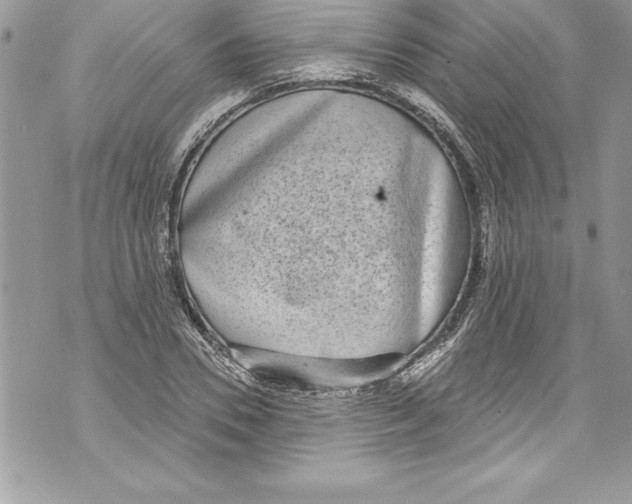 X0000070880930200607150142