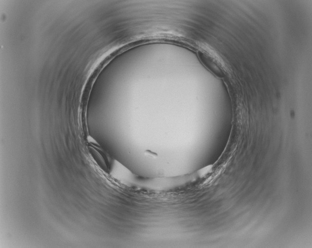 X0000070880932200607150142