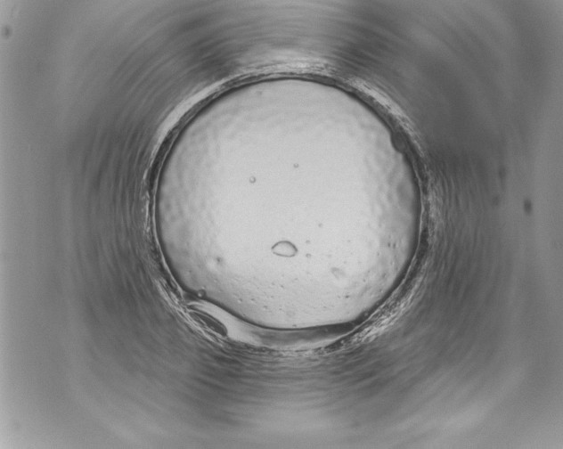 X0000070880933200607150142