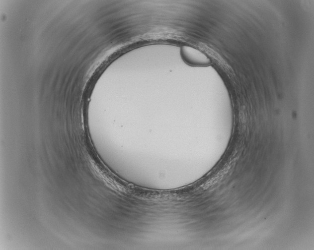 X0000070880934200607150142