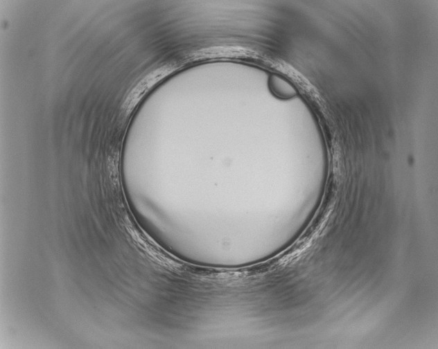 X0000070880937200607150143