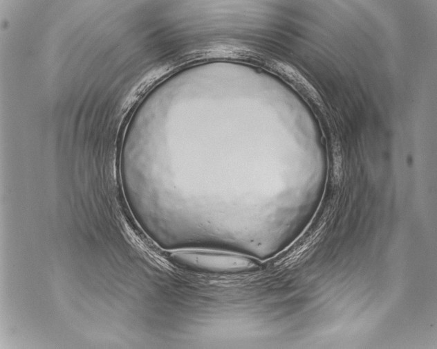 X0000070880938200607150143