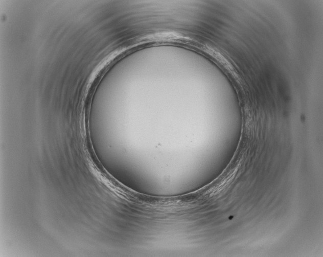 X0000070880939200607150143