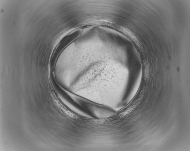 X0000070880940200607150143