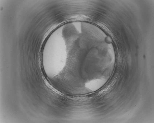 X0000070880941200607150143