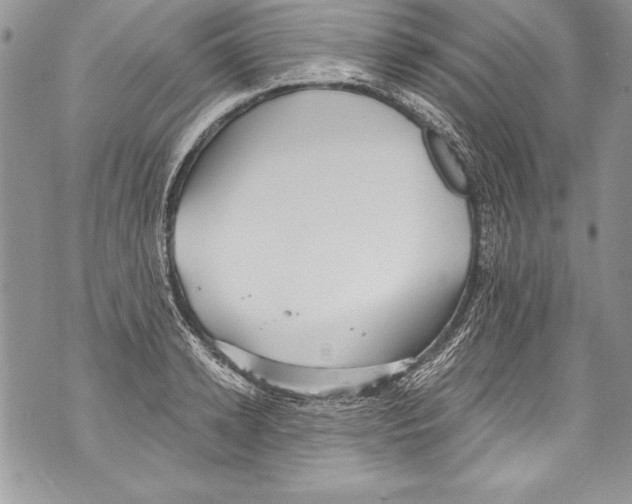 X0000070880942200607150143