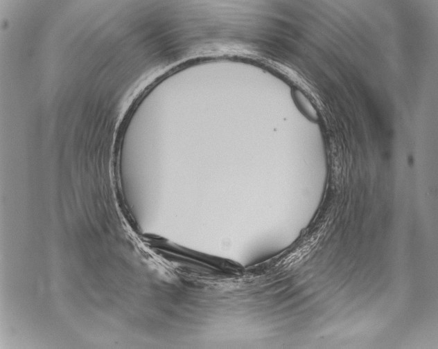 X0000070880943200607150143