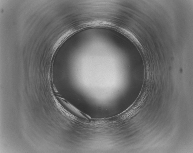 X0000070880946200607150143