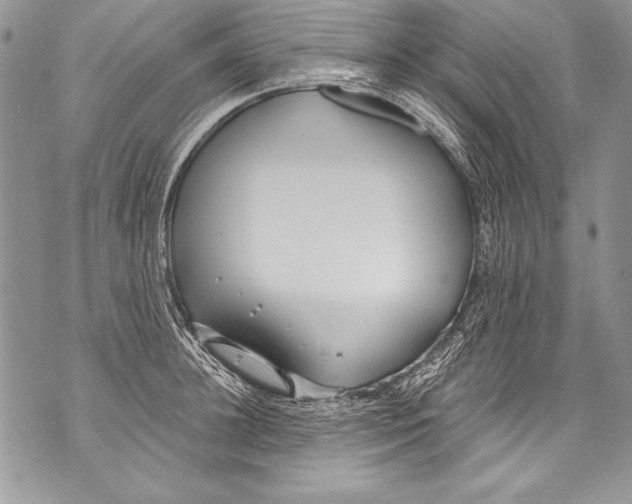 X0000070880948200607150143