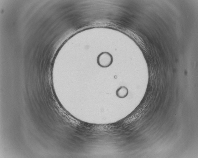 X0000070880950200607150143