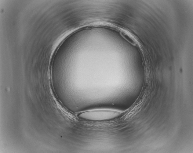 X0000070880951200607150143