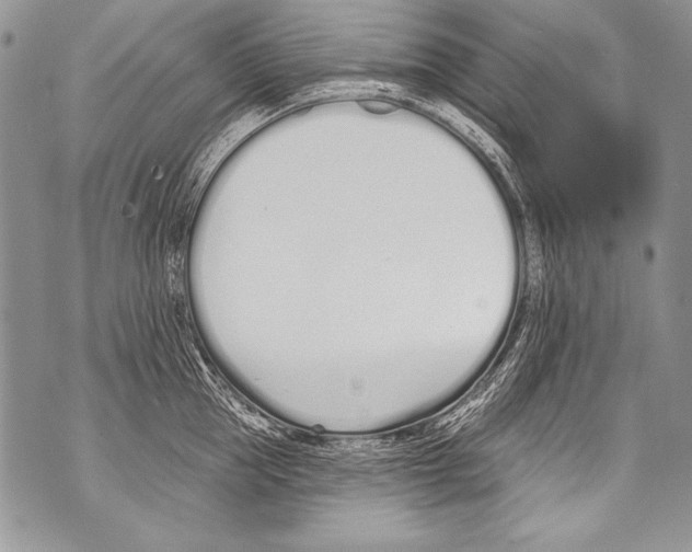 X0000070880953200607150143