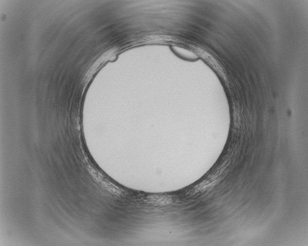 X0000070880954200607150143