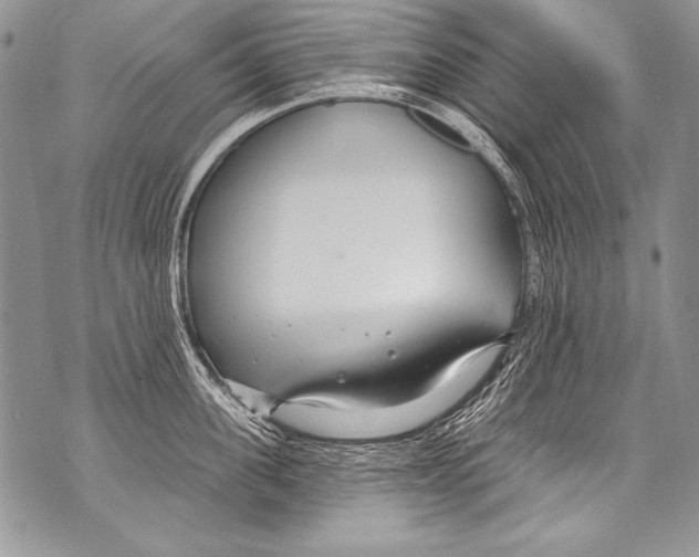 X0000070880955200607150143