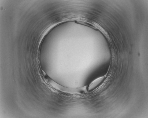 X0000070880956200607150143