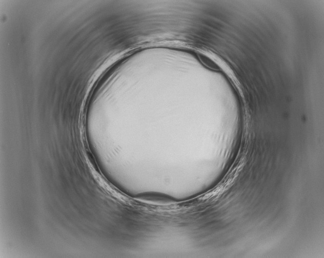 X0000070880957200607150143