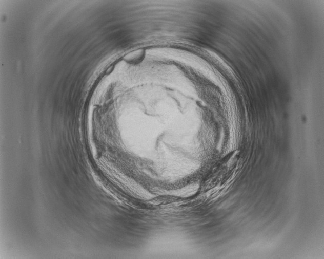 X0000070880958200607150143