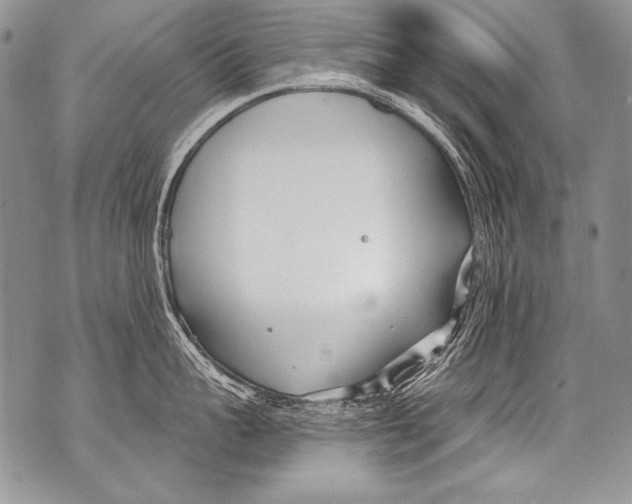 X0000070880959200607150143