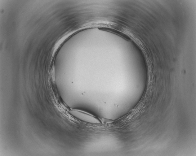 X0000070880960200607150143