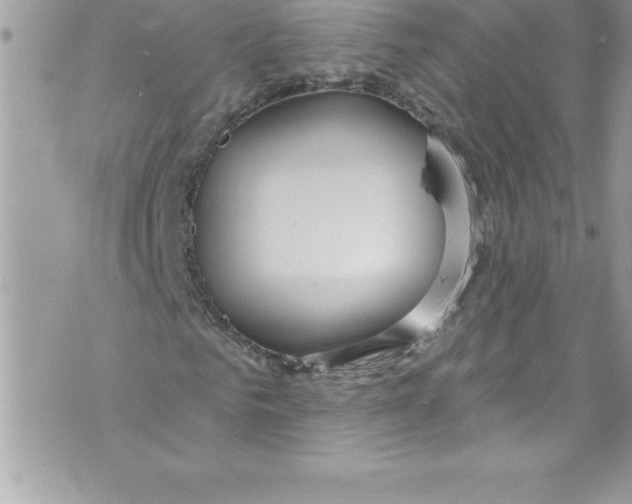 X0000070880961200607150142