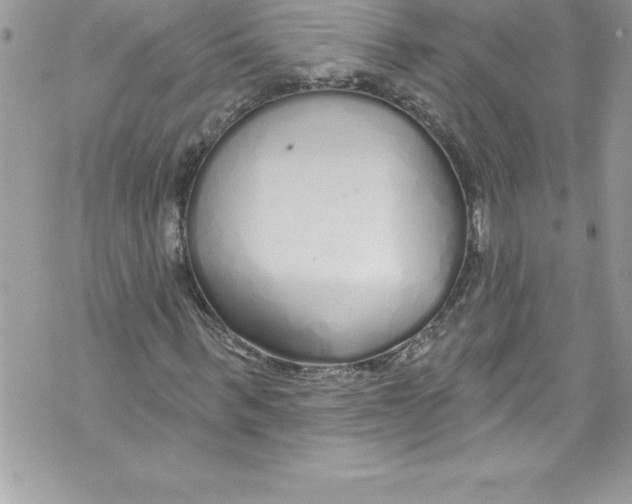 X0000070880963200607150142