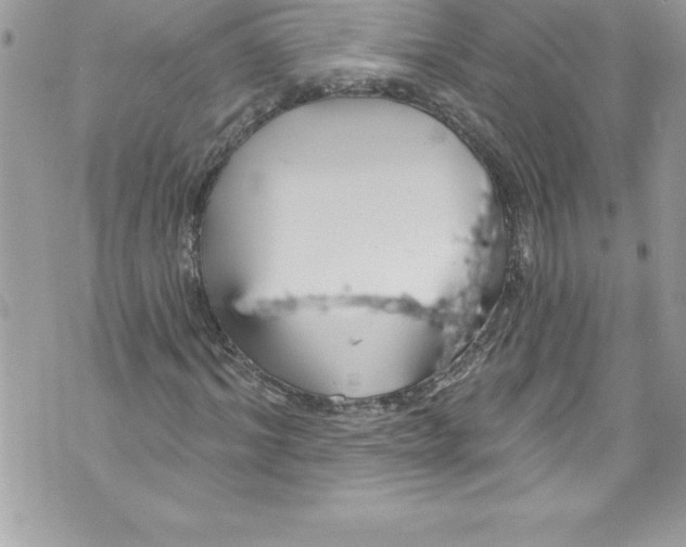 X0000070880964200607150142