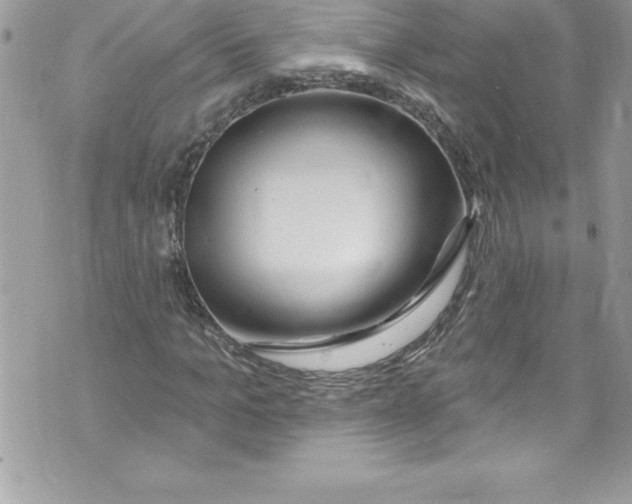 X0000070880965200607150142