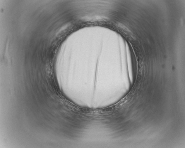 X0000070880966200607150142