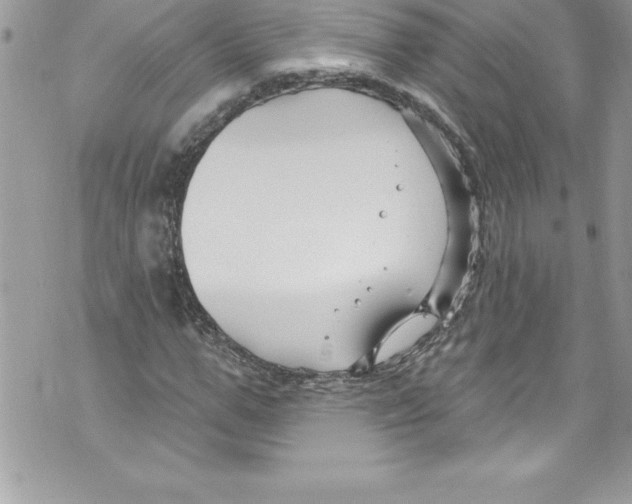 X0000070880967200607150142