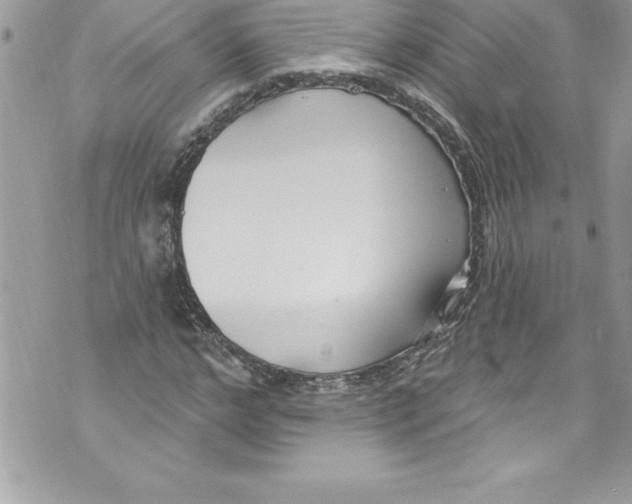 X0000070880968200607150142