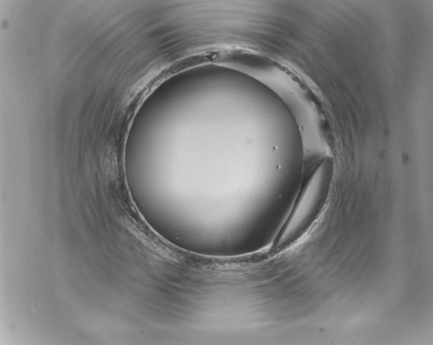 X0000070880969200607150142