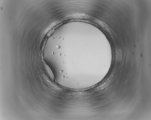 X0000070880970200607150142