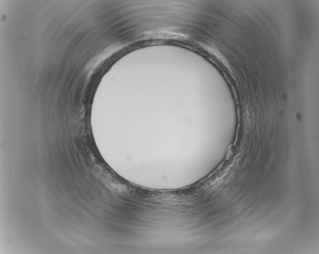 X0000070880971200607150142