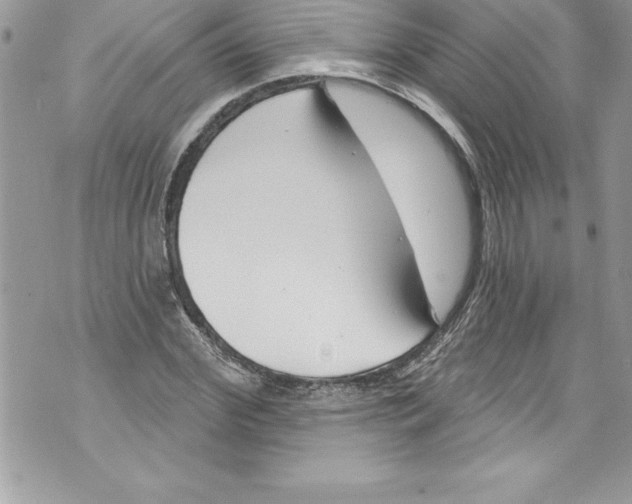 X0000070880972200607150142