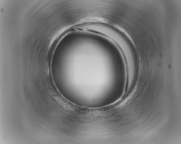 X0000070880973200607150142